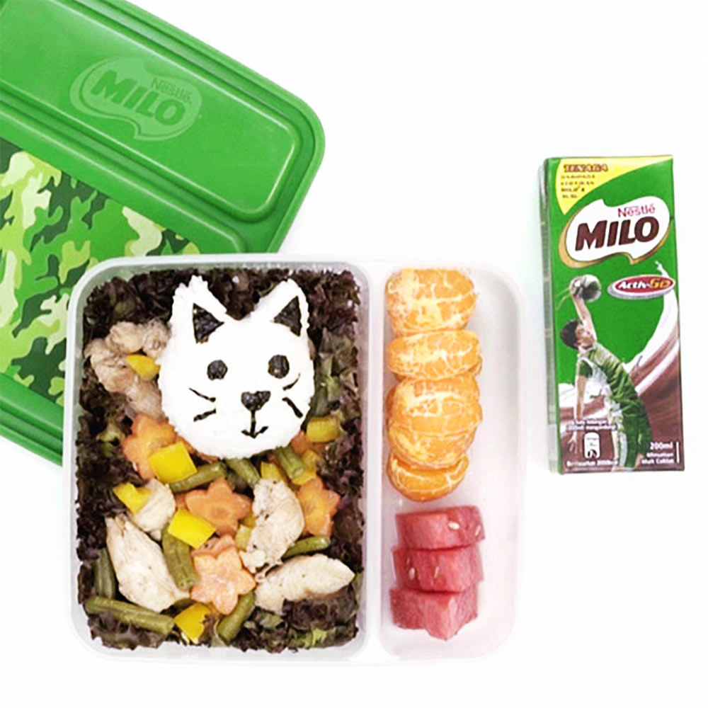 Mixed Rice Bento Box
