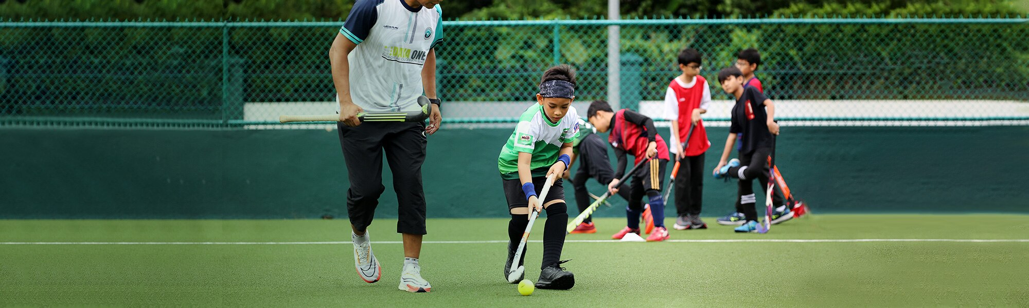 hockey-milo-banner