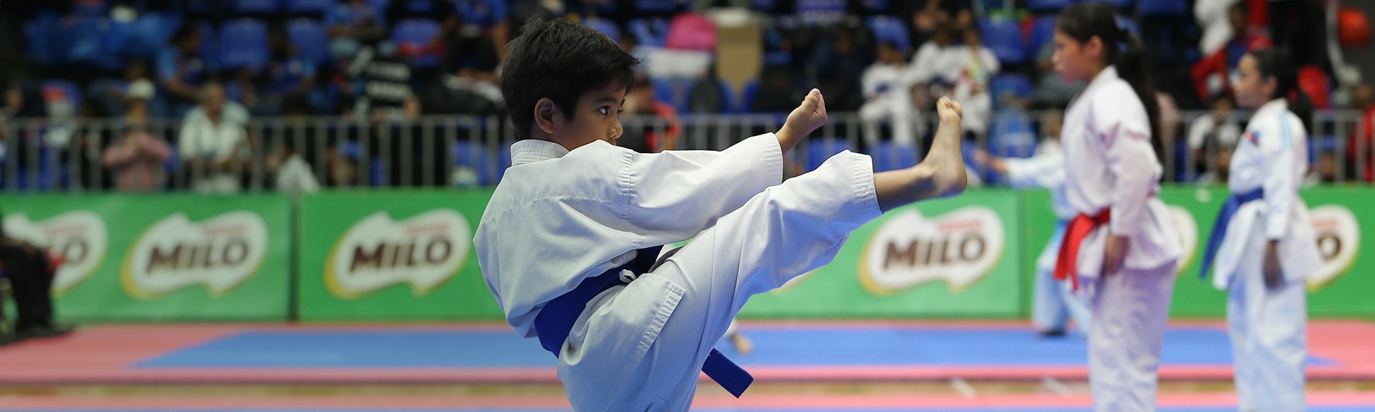 karate-milo-banner