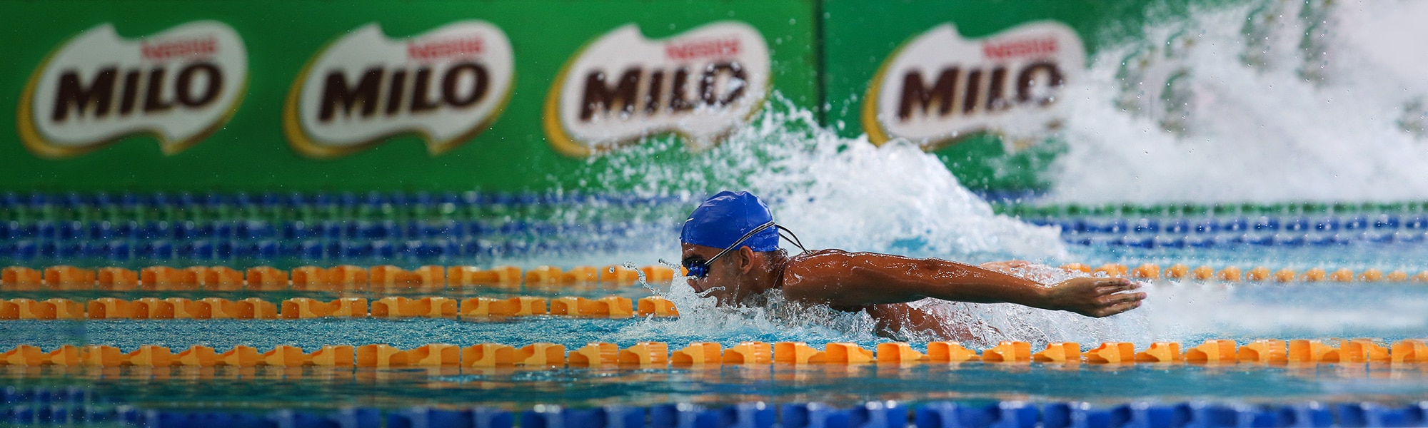 swimming-milo-banner