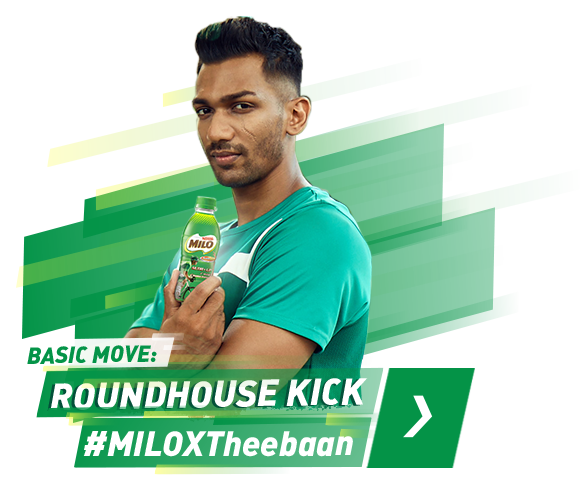Theebaan profile