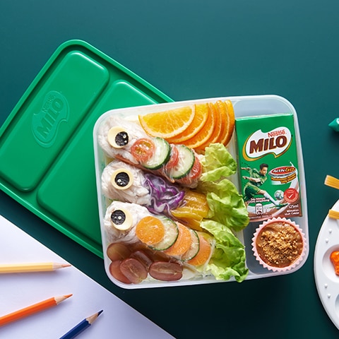 Rainbow Spring Rolls Bento Box