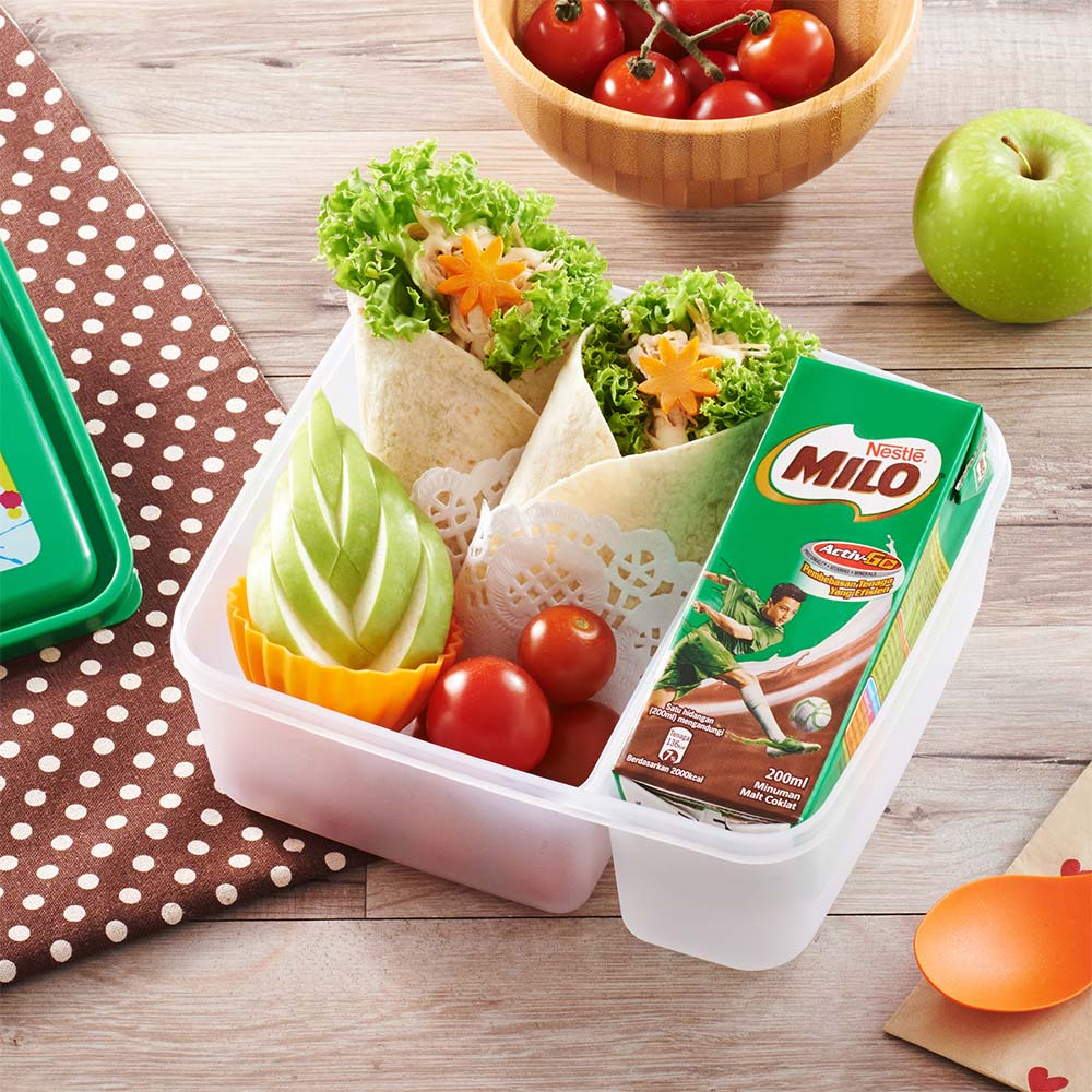 Tortilla Wrap Bento Box