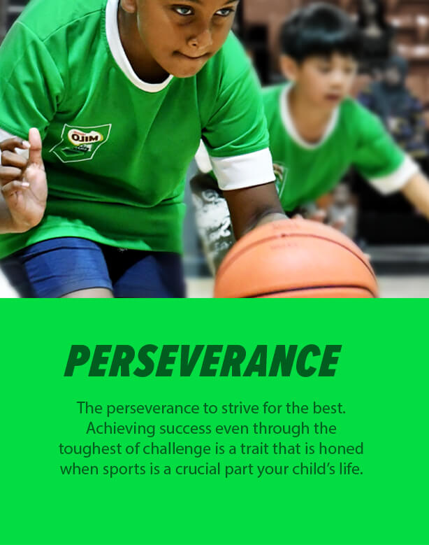 Perseverance