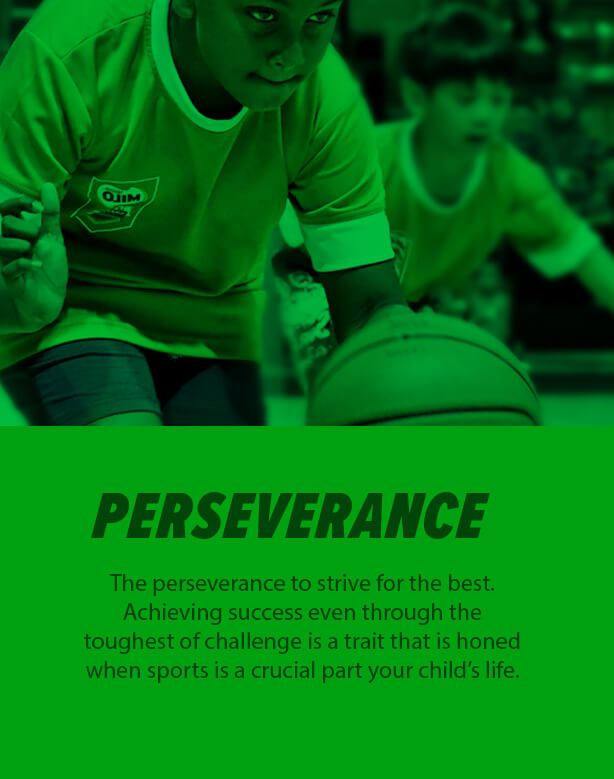 Perseverance